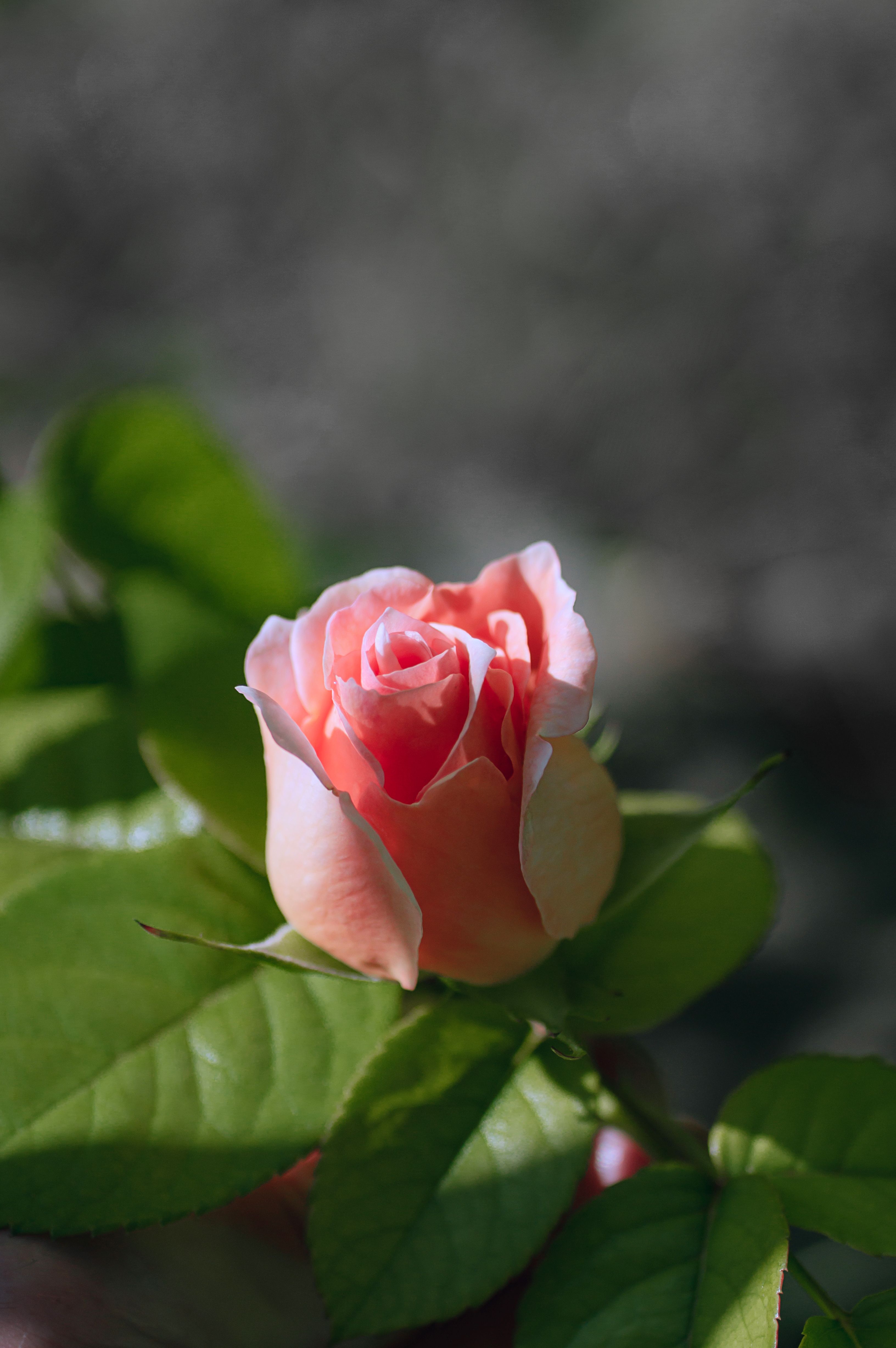 Calming Photos, Download The BEST Free Calming Stock Photos & HD Images