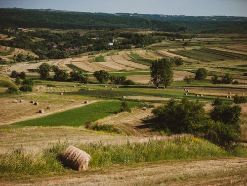 Free A picturesque rural landscape featuring rolling hills and scattered hay bales under a clear sky. Stock Photo