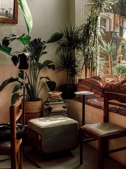 Free A serene indoor cafe corner in Istanbul with plants and books, offering a cozy vibe. Stock Photo