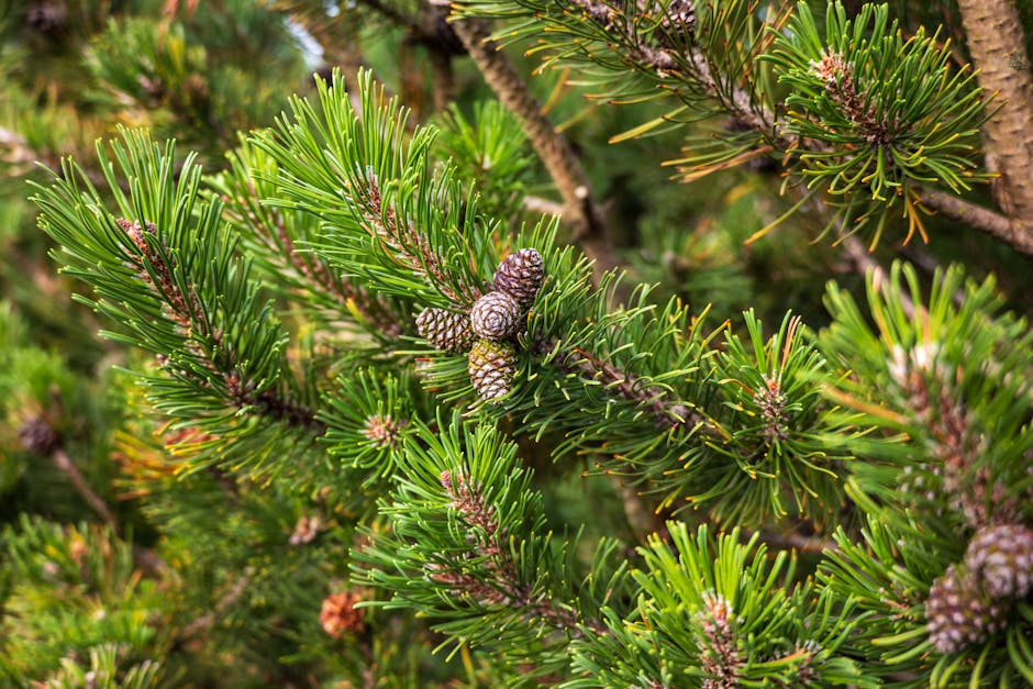 Understanding Environmental Impact Assessment: Key Insights and Benefits