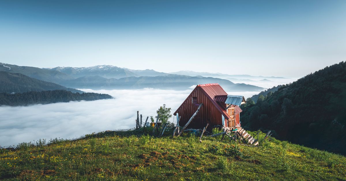 Pokut Manzara Bungalov