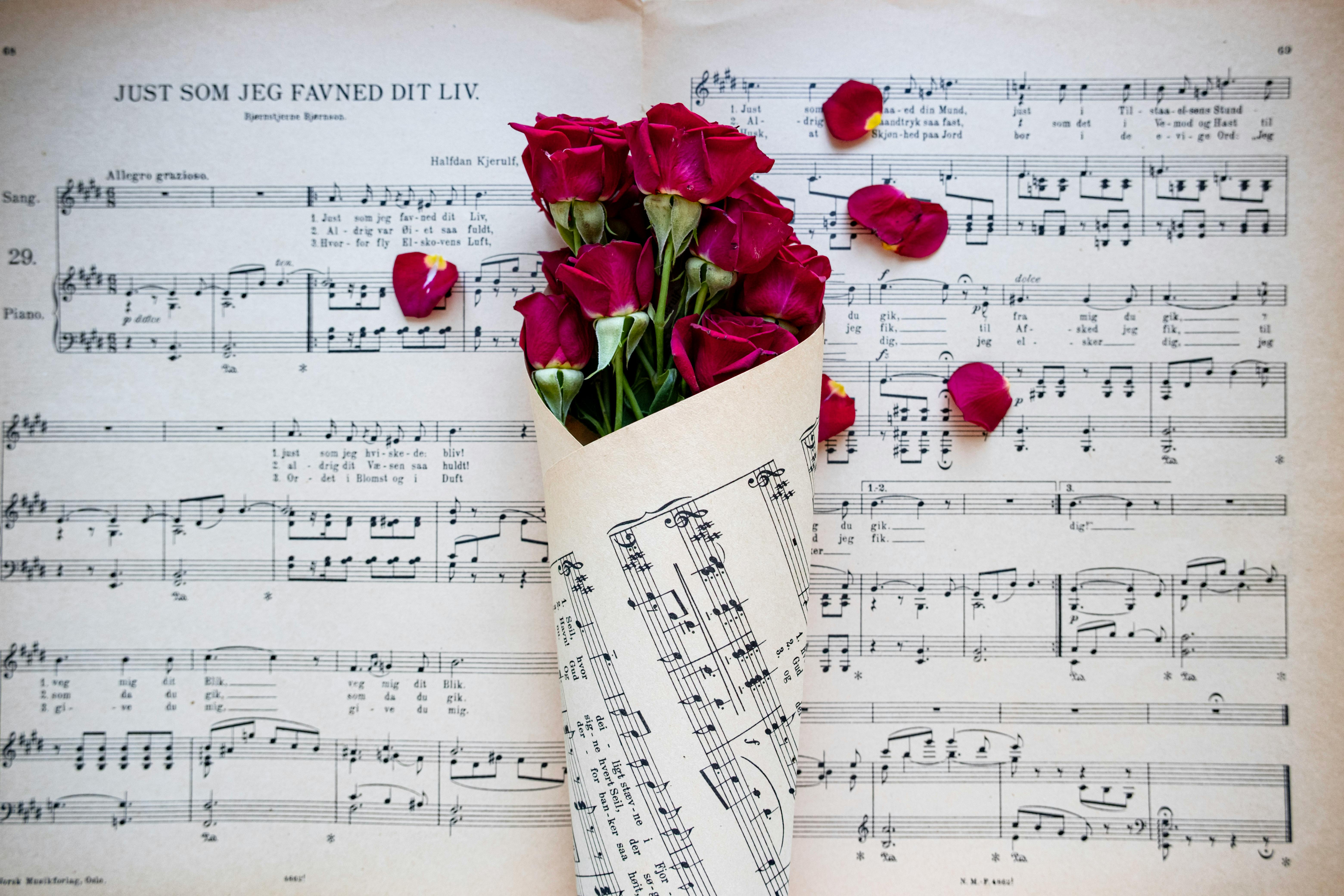 How Local Music Lovers Keep Music Discovery Fresh — Photo by Nur  Yilmaz on Pexels