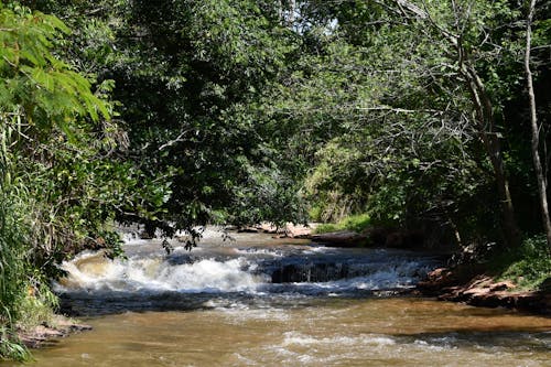 Syntax River Photos, Download The BEST Free Syntax River Stock Photos
