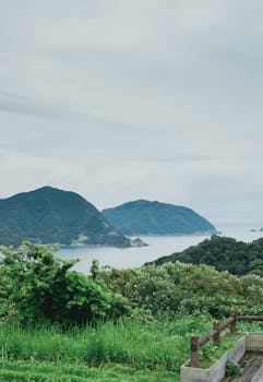 Beautiful landscape of the West Izu coastline in Shizuoka, Japan, showcasing lush greenery against a calm sea.