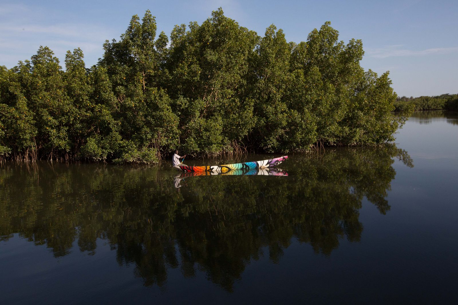Boat travelling through Gambian mangroves