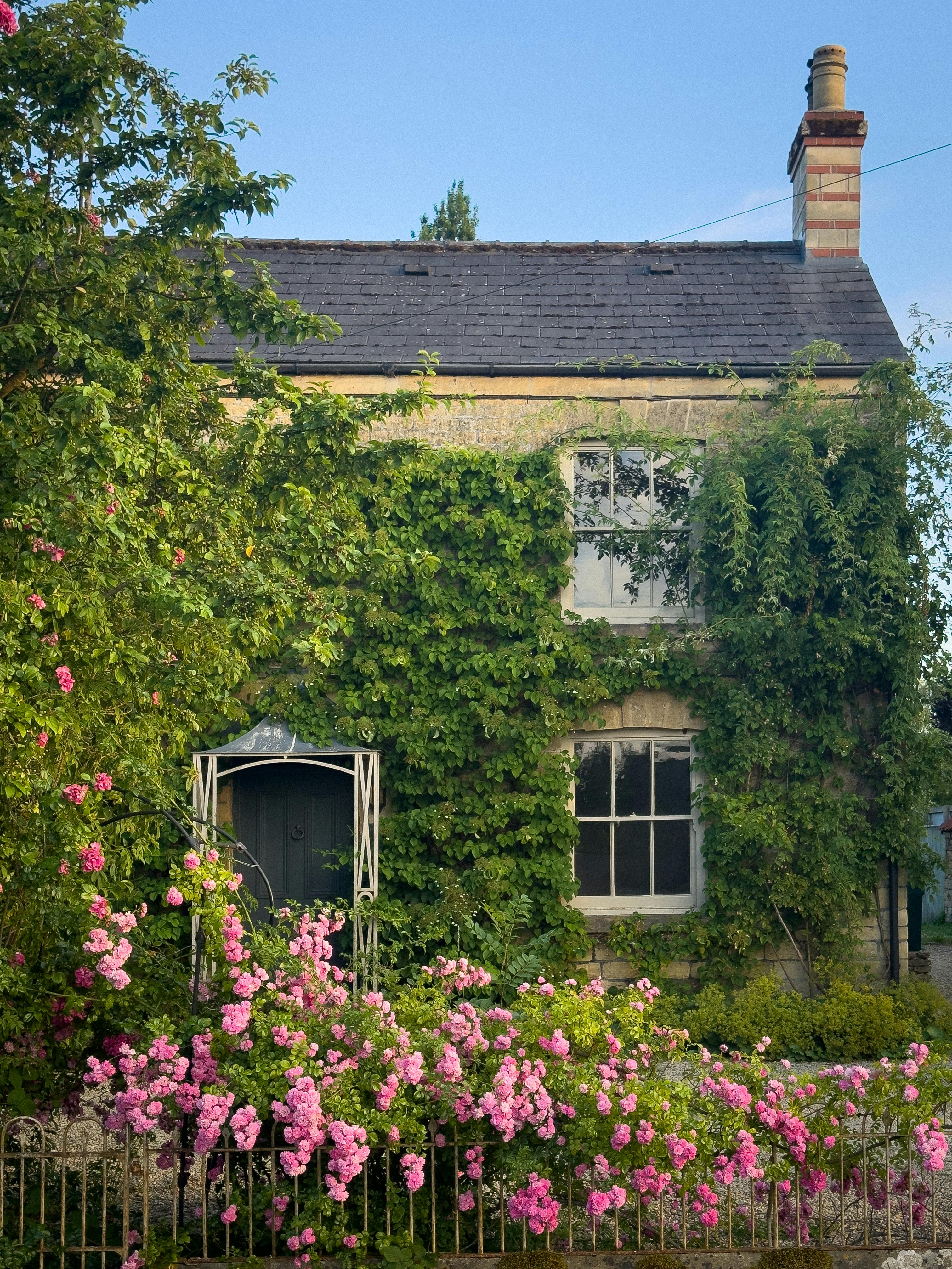 A picturesque stone cottage in Malmesbury, England surrounded by vibrant greenery and pink roses.