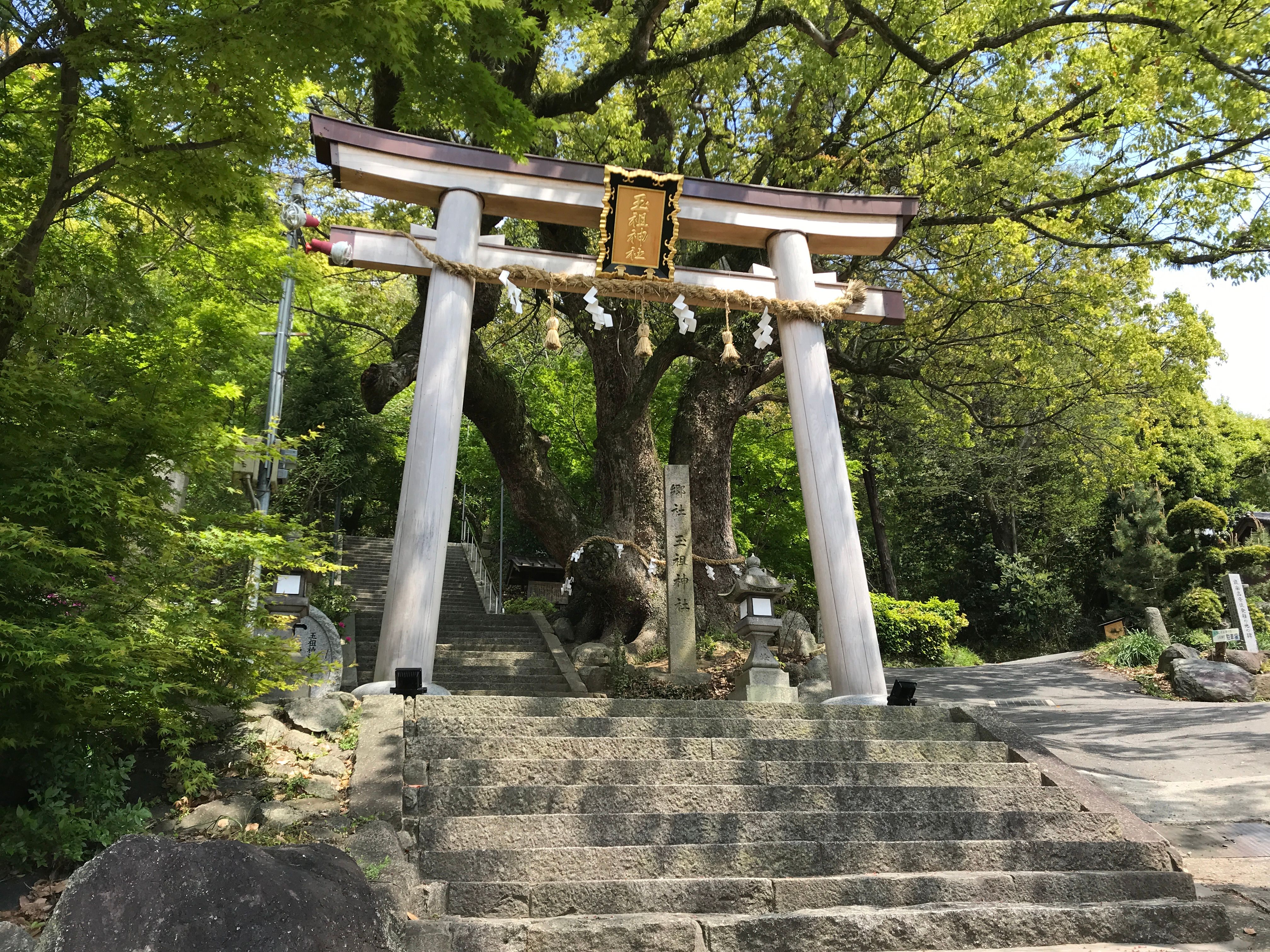 晴れた日に、豊かな緑と石段に囲まれた静かな日本の鳥居。