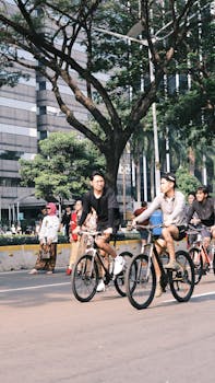 Outdoor urban scene with adults cycling along tree-lined avenue.