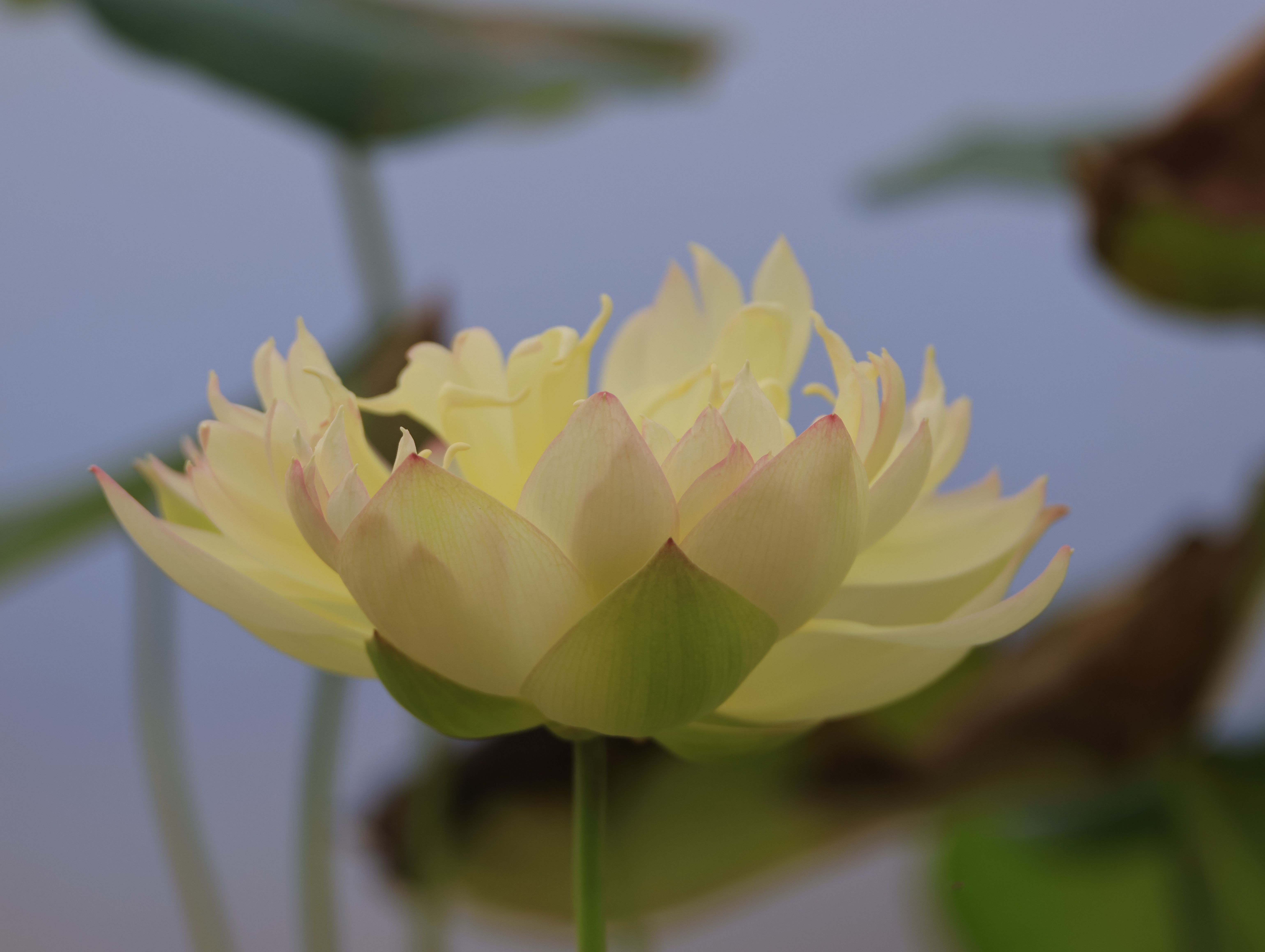 Calming Photos, Download The BEST Free Calming Stock Photos & HD Images