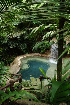 A serene waterfall pool amidst dense jungle foliage, ideal for relaxation in nature.