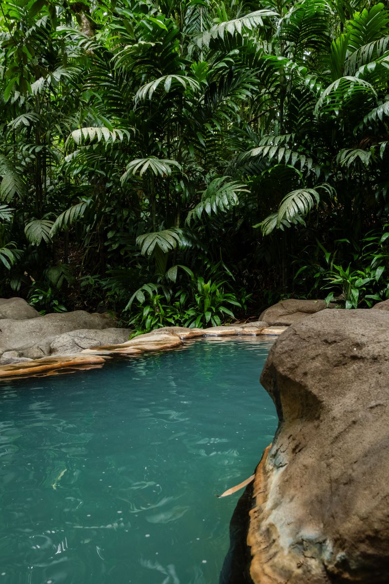Poza de aguas termales con vapor natural, rodeada de vegetación tropical densa