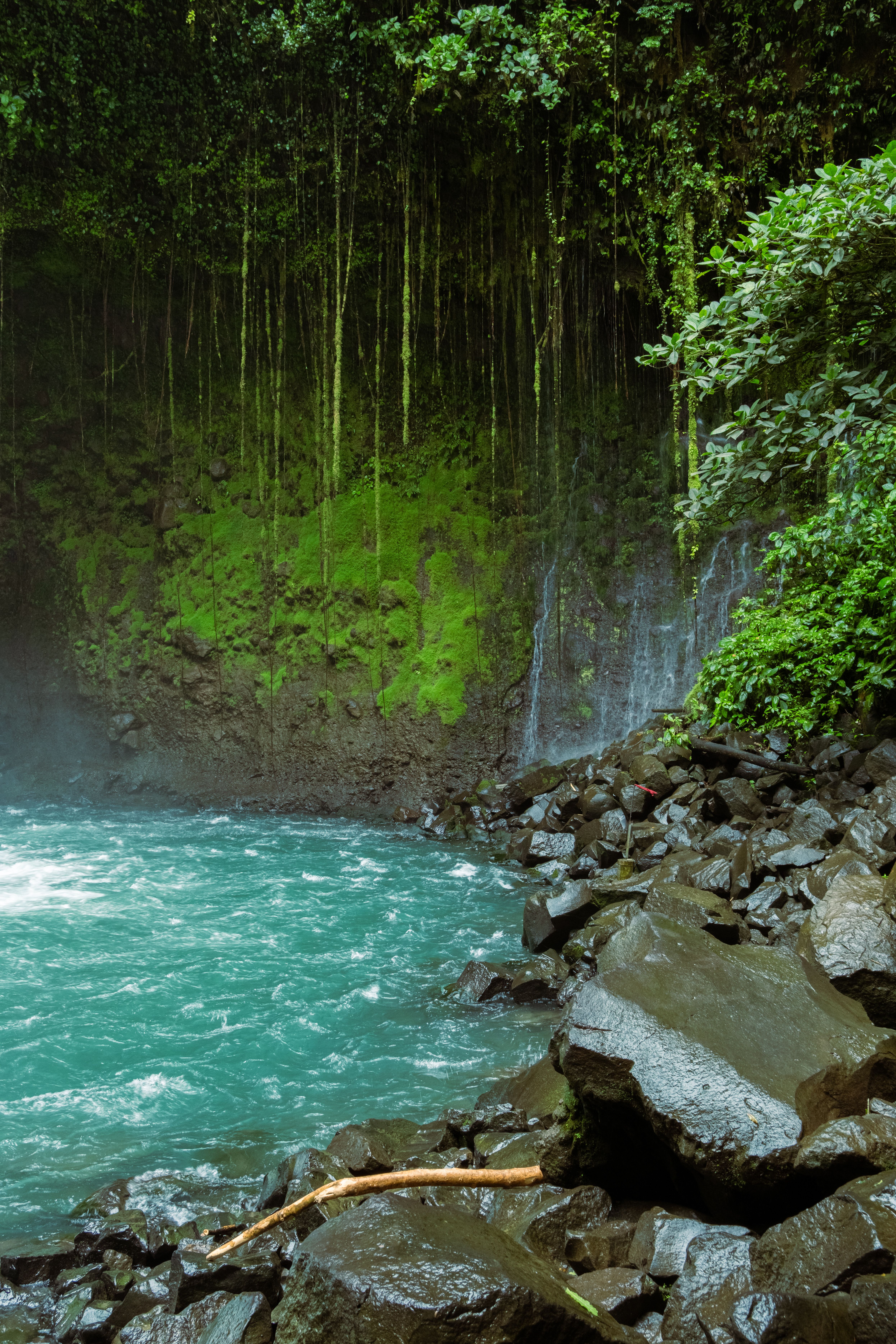 Lush Tropical Waterfall with Mossy Rocks · Free Stock Photo