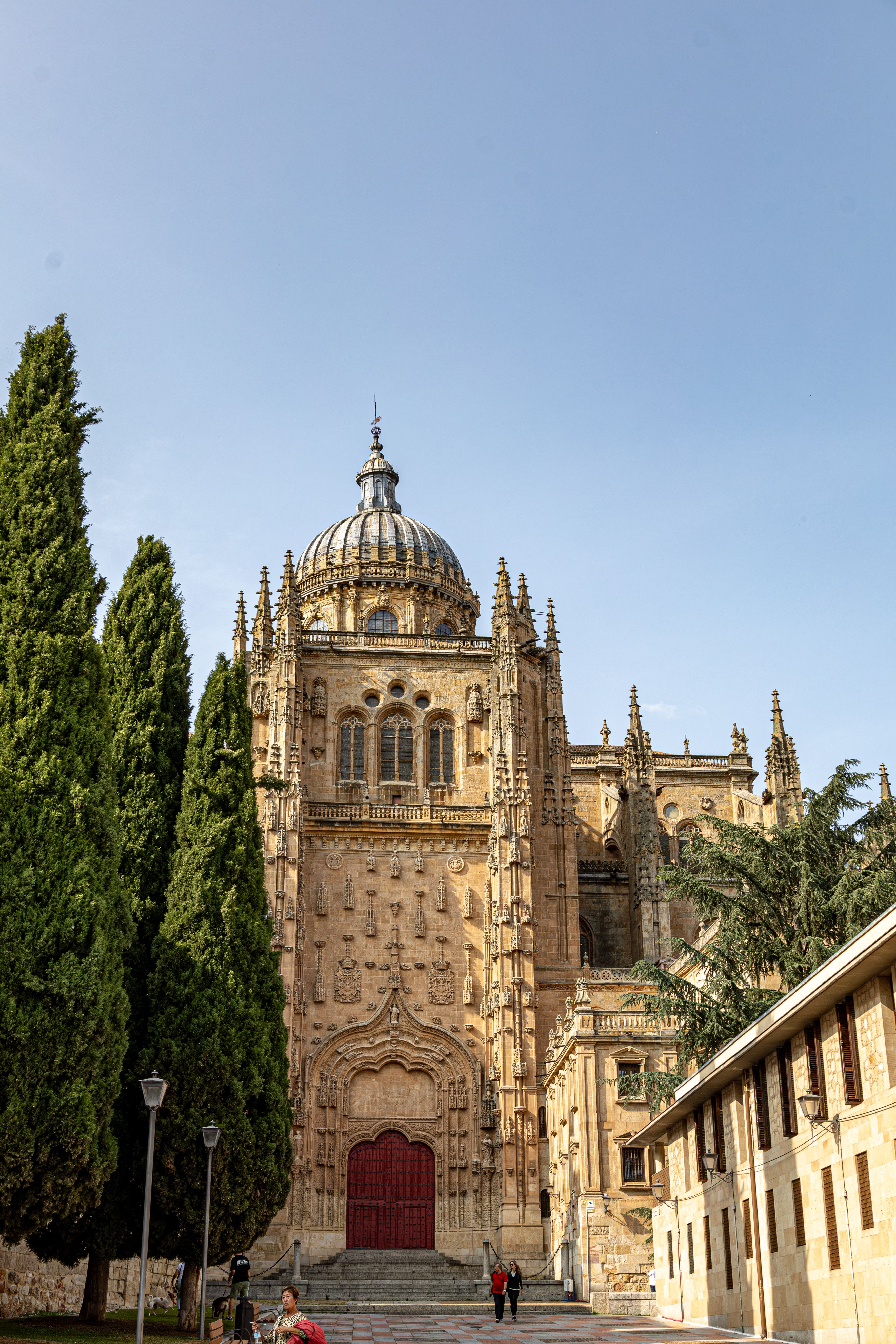 Historic facade of the Salamanca Cathedral with surrounding greenery, showcasing intricate architectural design.