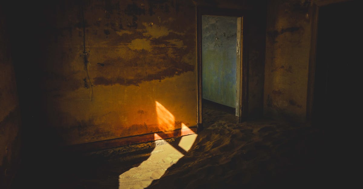 Whispers in the Pines 1 image text