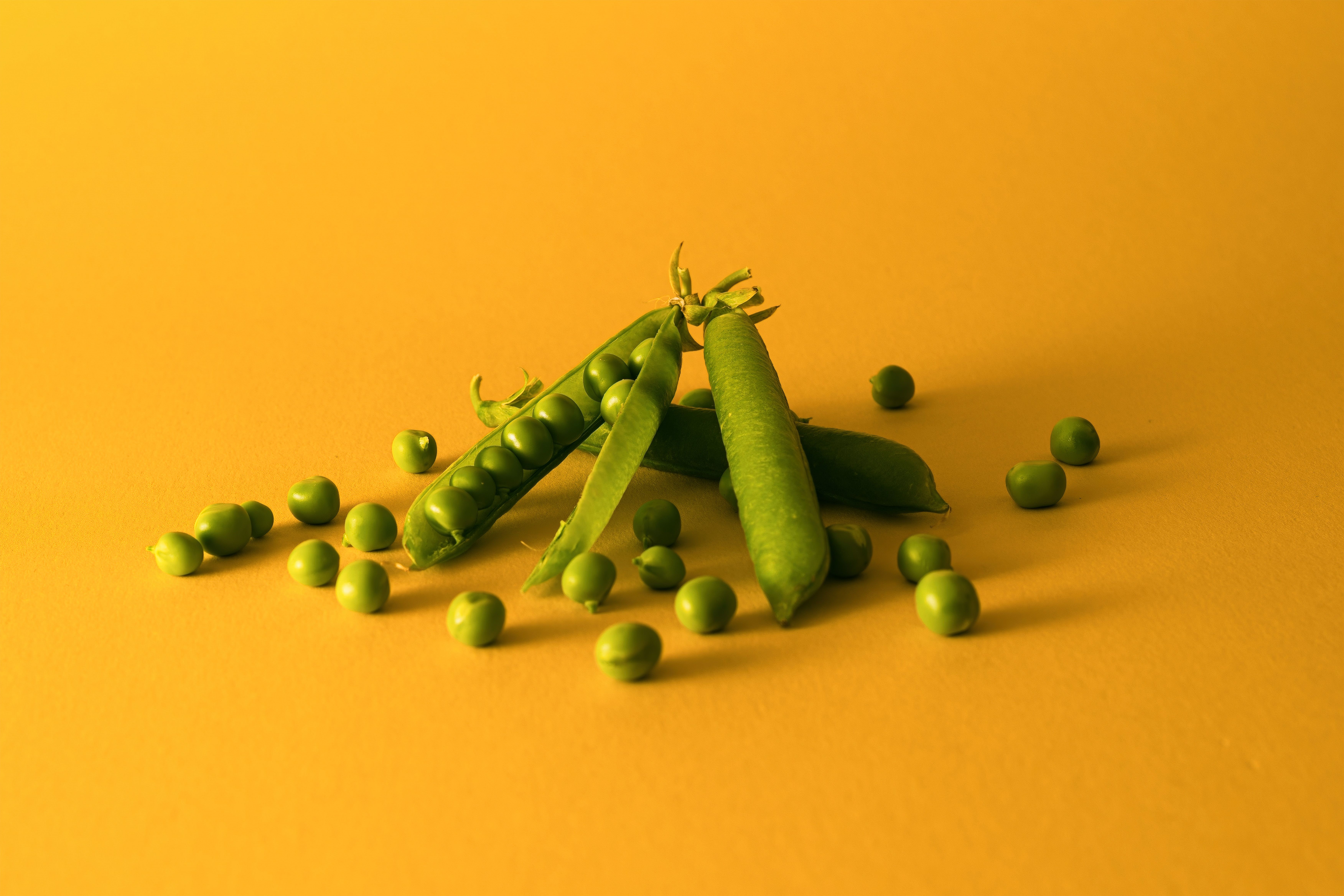 Farine de pois verts : votre allié protéiné après 40 ans