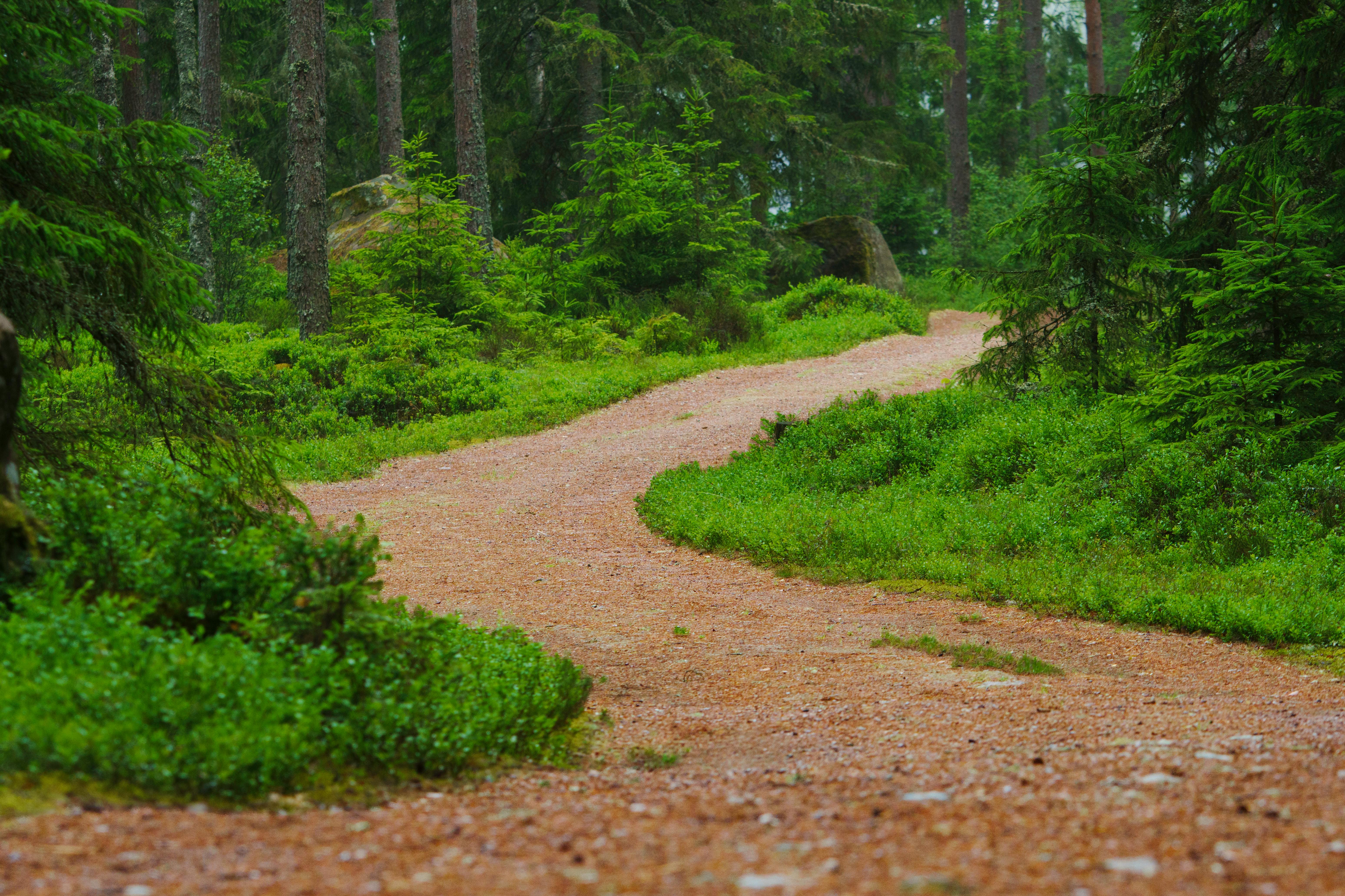Healthspan White Paper: The Data-Driven Path to Longevity — Photo by Lorenzo Manera on Pexels