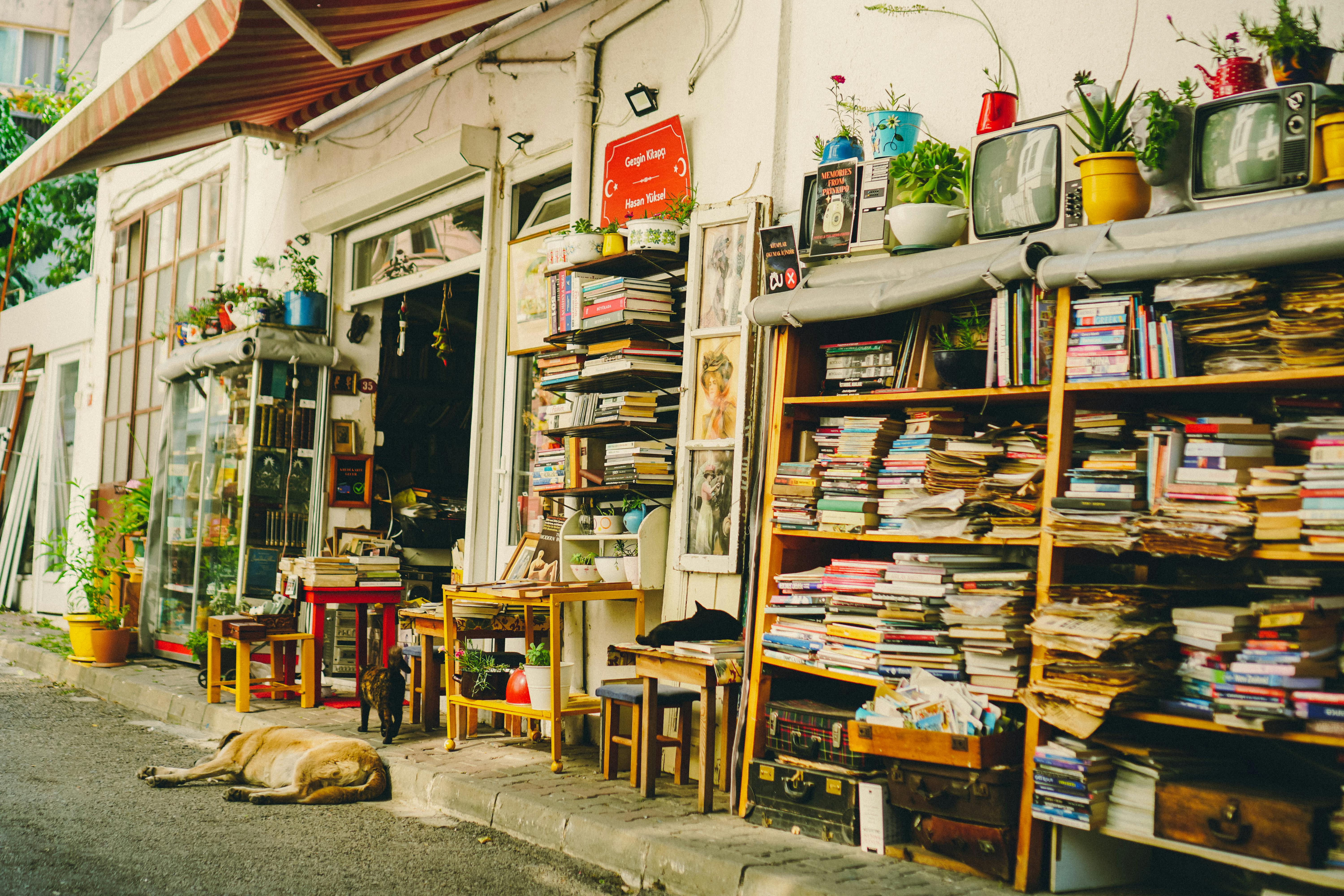 Free Cozy vintage bookstore with stacks of books, plants, and a relaxed street vibe. Stock Photo