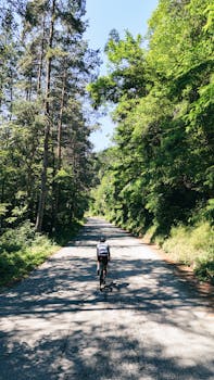 Lone cyclist navigating a scenic forest road in Sofia, Bulgaria during a sunny day.