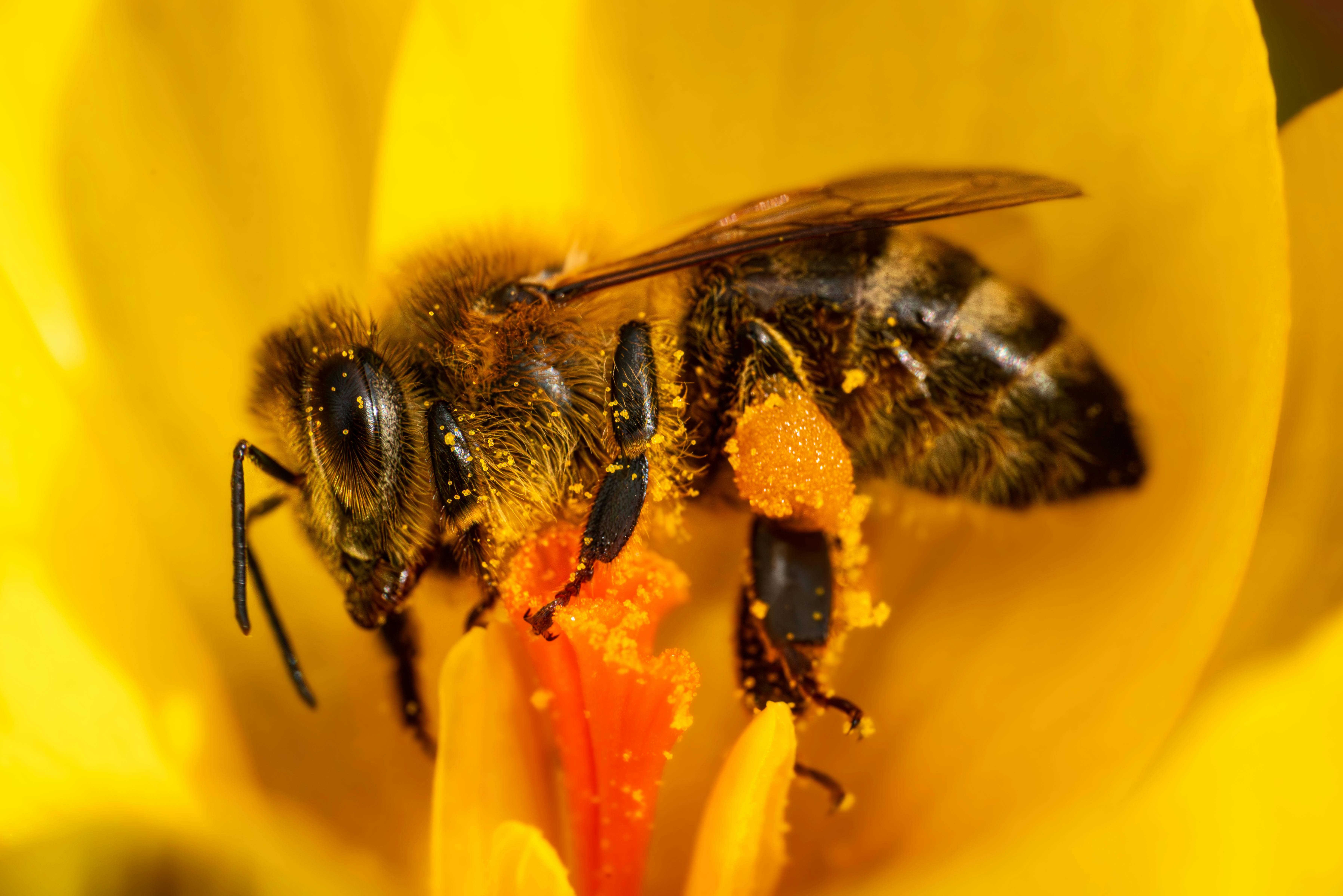 Ark Valley Civics Bee Competition to Send Three Local Students to State — Photo by skigh_tv on Pexels