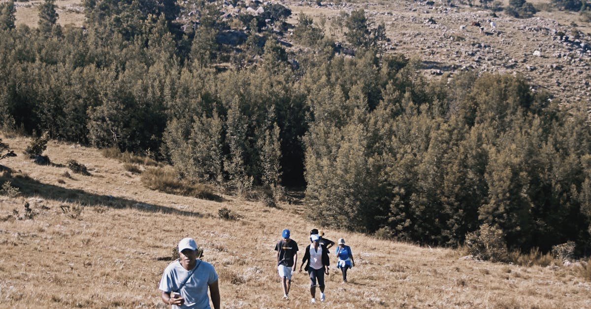台北國際夏季旅展7 18開跑 天成飯店集團餐券5 1折起超值搶購