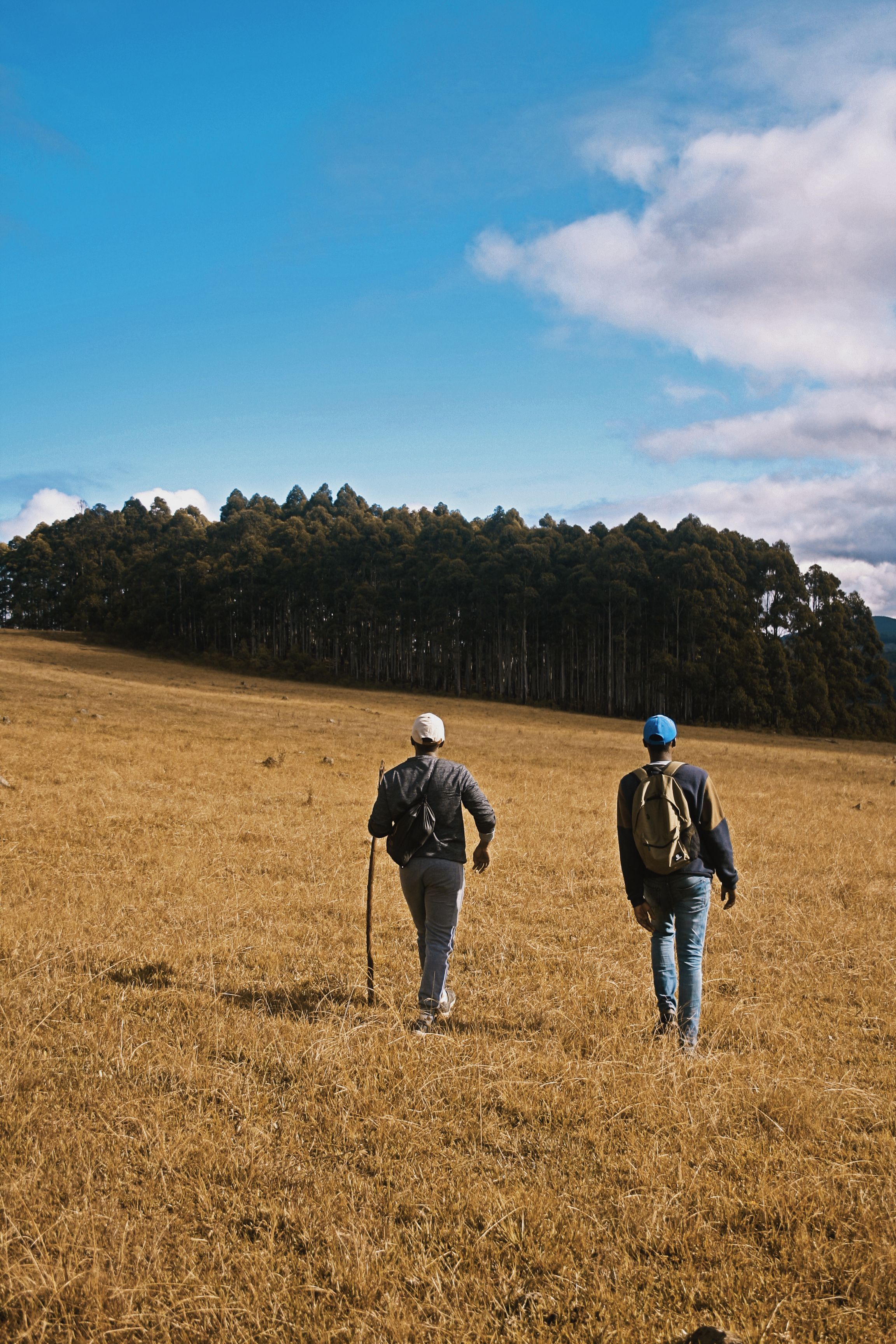 Hikers Exploring Scenic Malkerns Landscape · Free Stock Photo