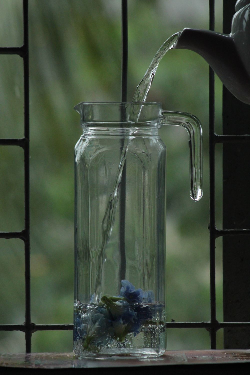 Pitcher In House Window Water Pouring into Glass Pitcher by Window · Free Stock Photo