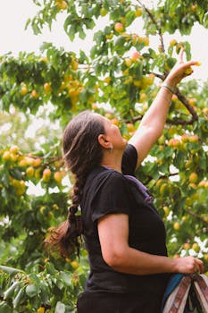 Next-gen PCIe 6.0 SSD to reach 512GB in capacity and 28GBps in performance, almost 2X faster than PCIe 5.0, but I can't see it reaching my desktop PC before 2030