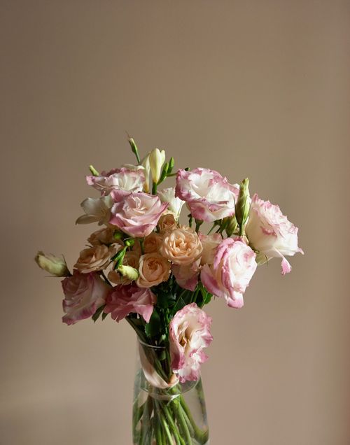 Free Aesthetic pink and peach eustoma bouquet in a glass vase against a neutral background. Stock Photo
