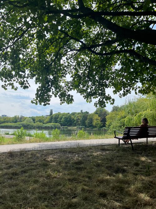 Free A peaceful summer afternoon with a person relaxing by a lake in Warszawa park. Stock Photo