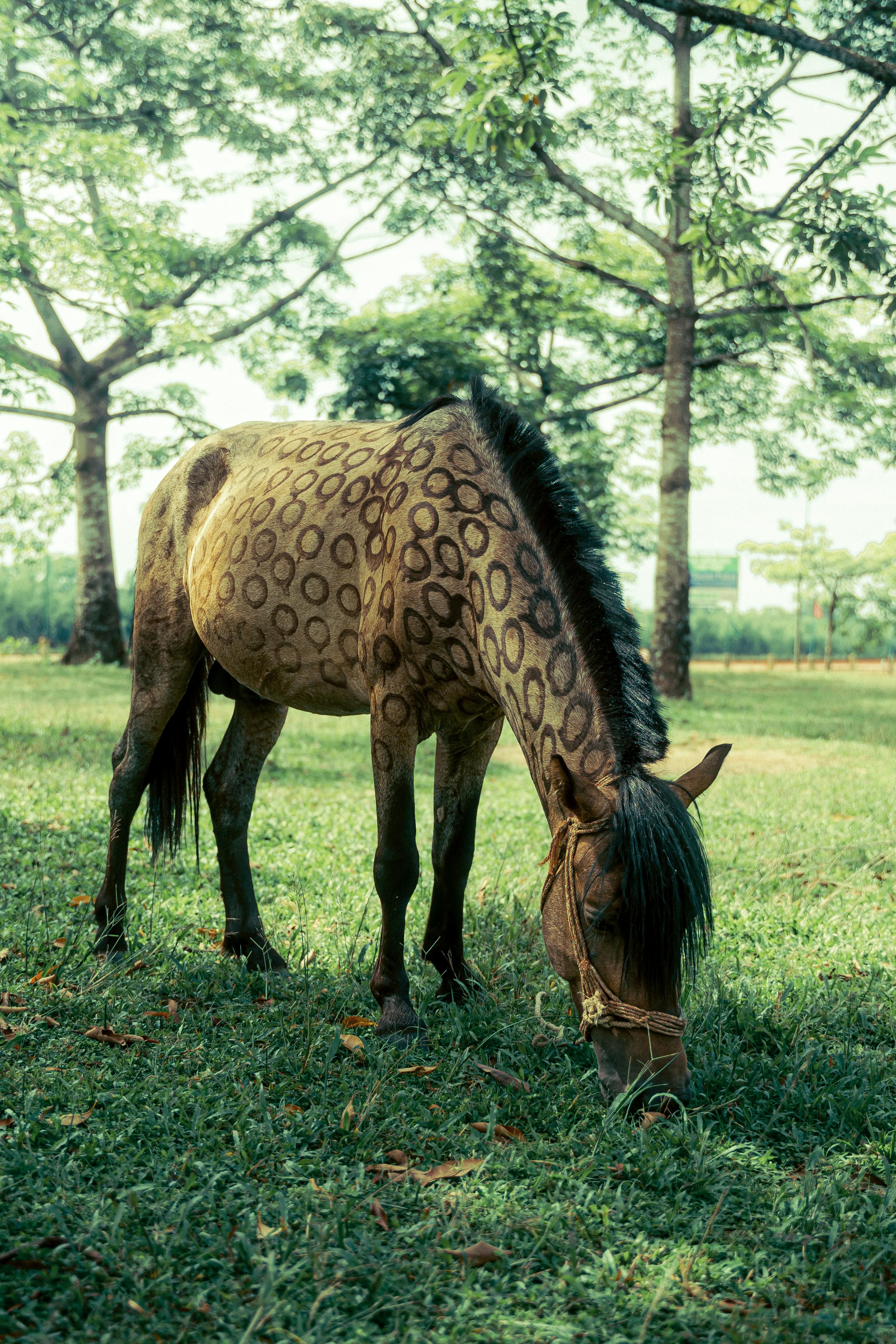 픽업 장소 이미지
