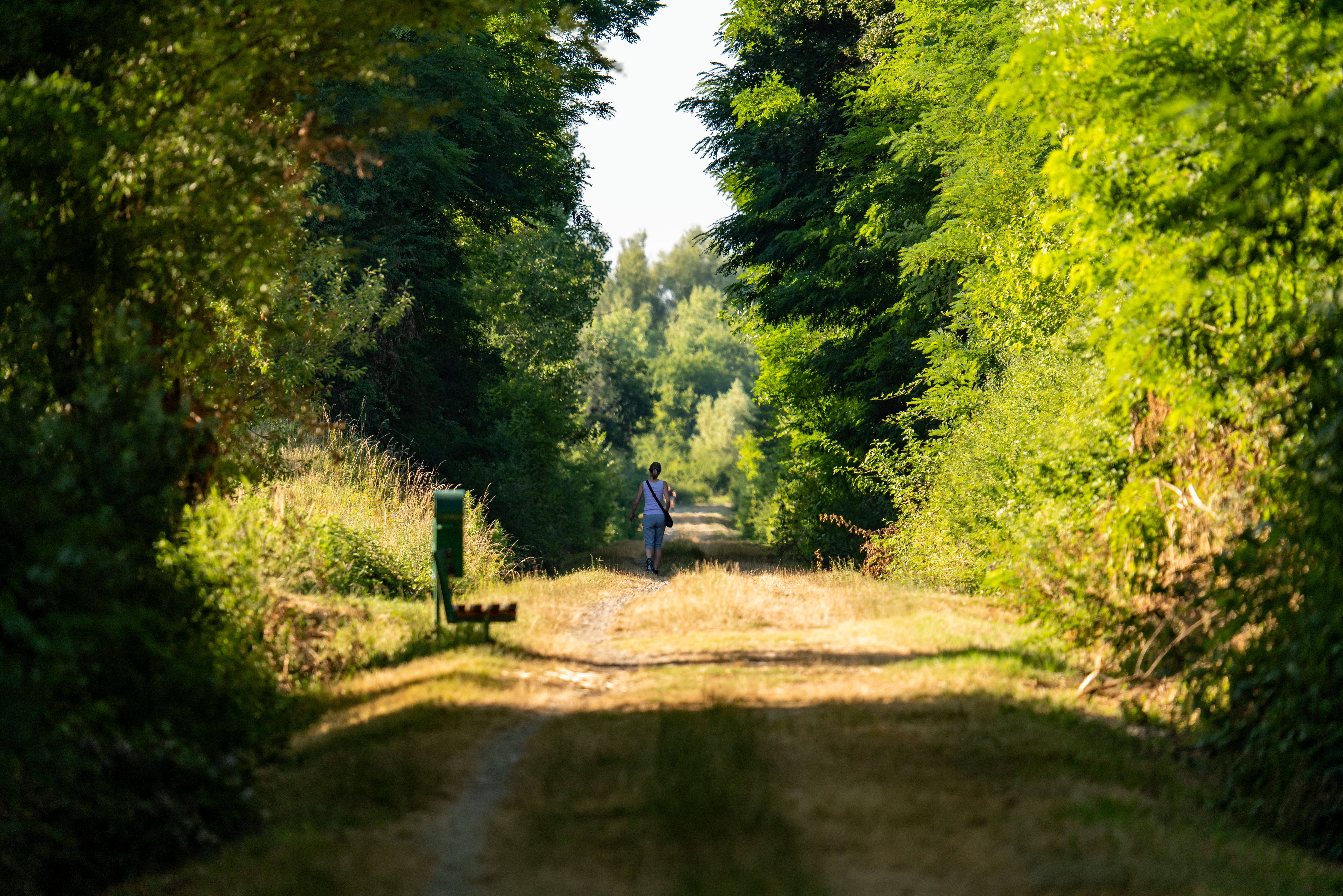 Vallée du Clain Walking Trail