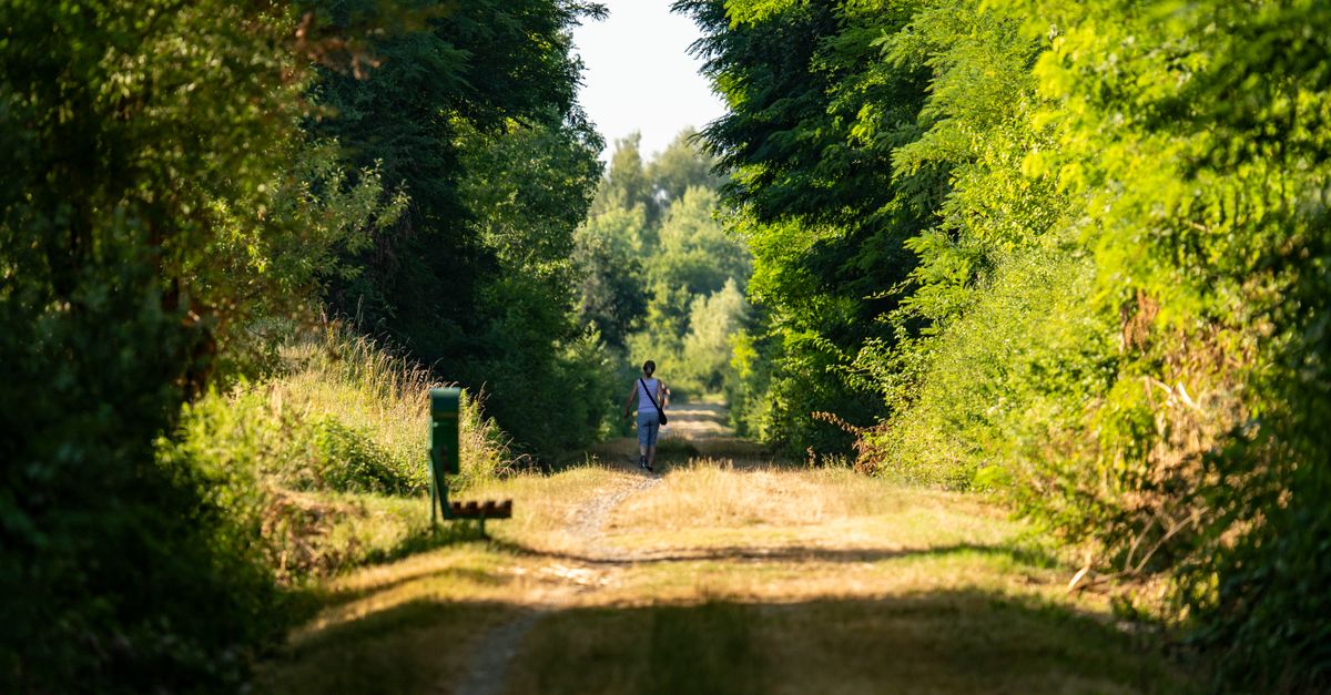 person walking outdoors nature trail thinking creative