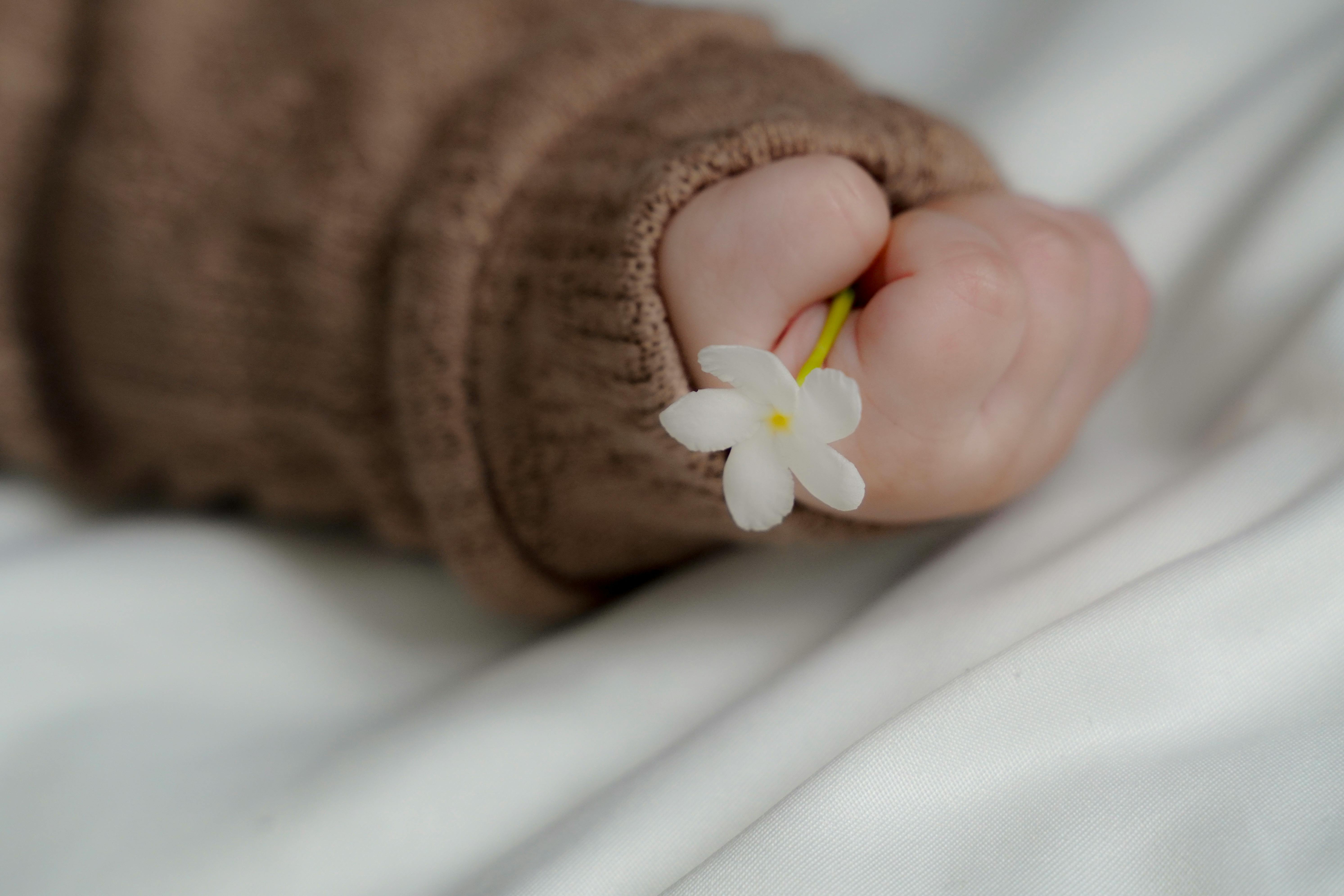 Keamanan Bash Termux