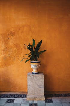 一盆充满活力的绿色植物，放在大理石底座上，倚靠着引人注目的橙色墙壁