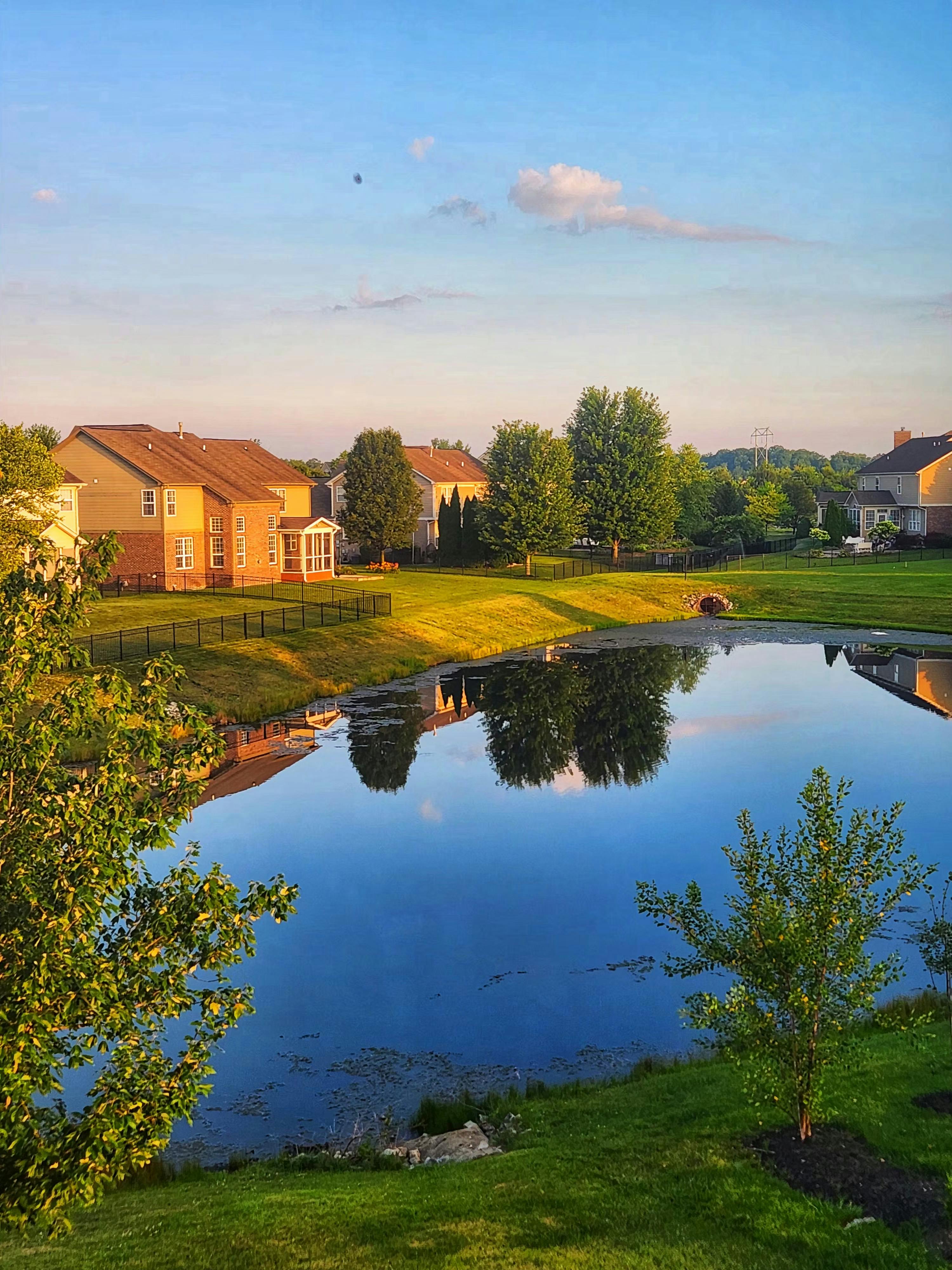 Tranquil suburban neighborhood with houses by a reflective pond and lush greenery.