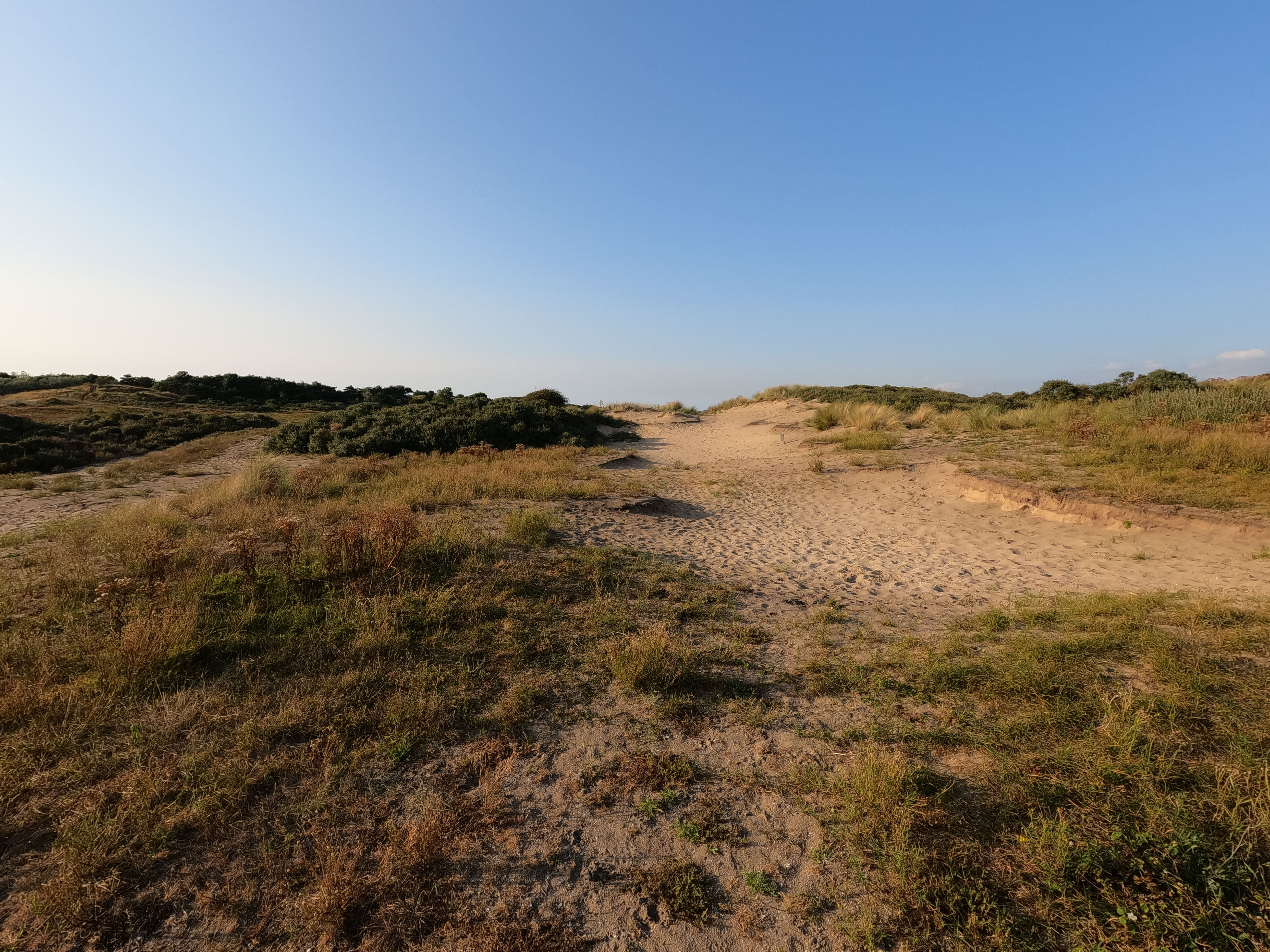 Photo+5.2+Landscape Photos, Download The BEST Free Photo+5.2+Landscape ...