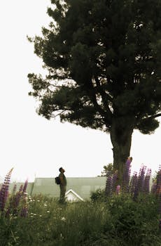 A person stands admiring a large tree surrounded by colorful flowers in a serene garden setting.