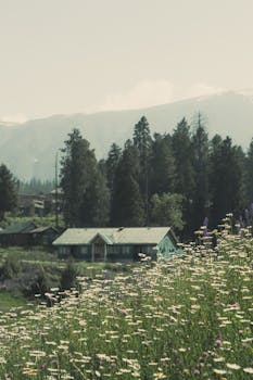 A tranquil mountain cabin in a lush landscape with blooming wildflowers under a clear sky.
