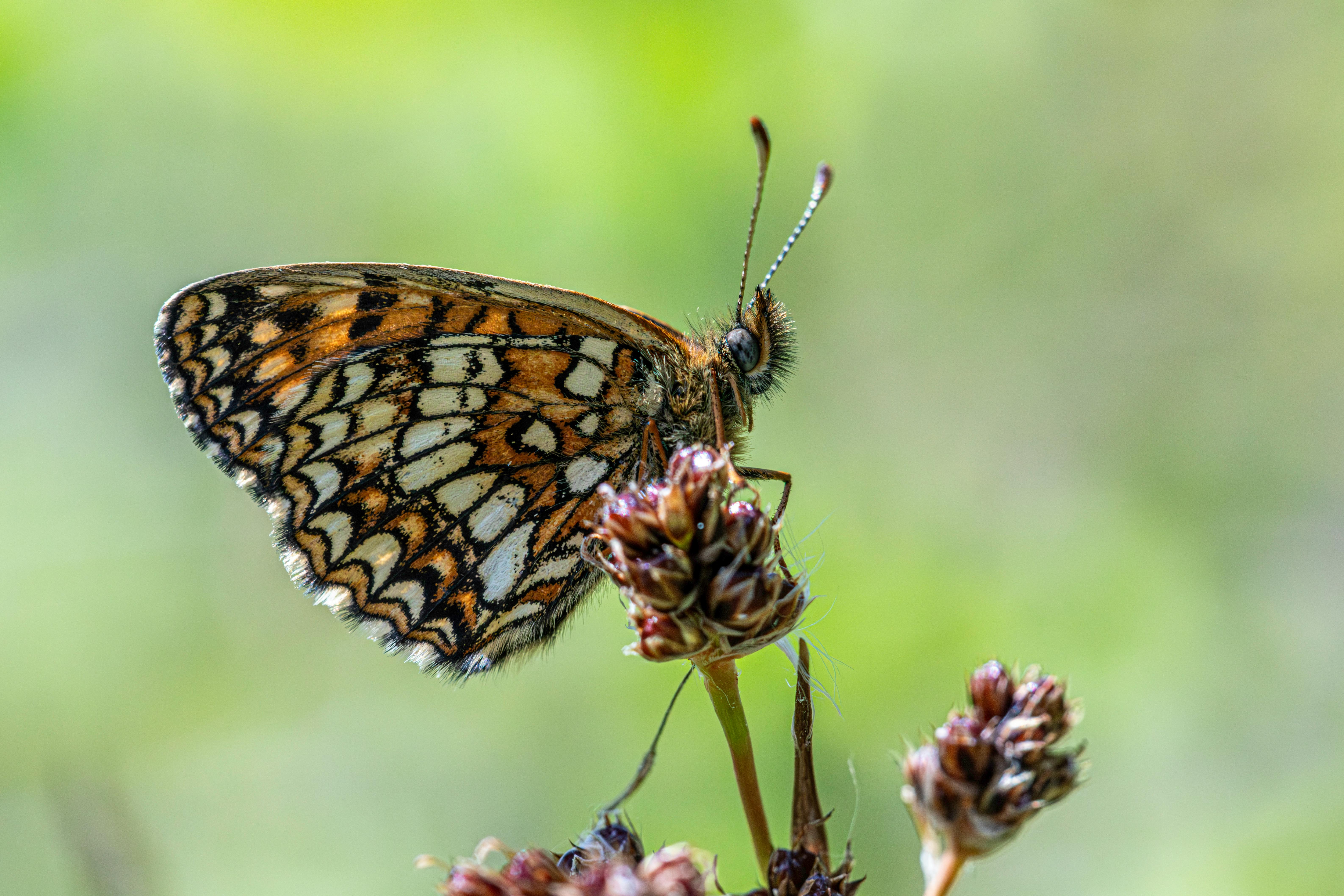 Bio Compostable Innovations Shaping the Future