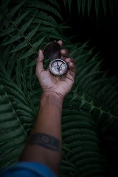 A hand holding an antique compass surrounded by lush green ferns, symbolizing exploration and adventure.
