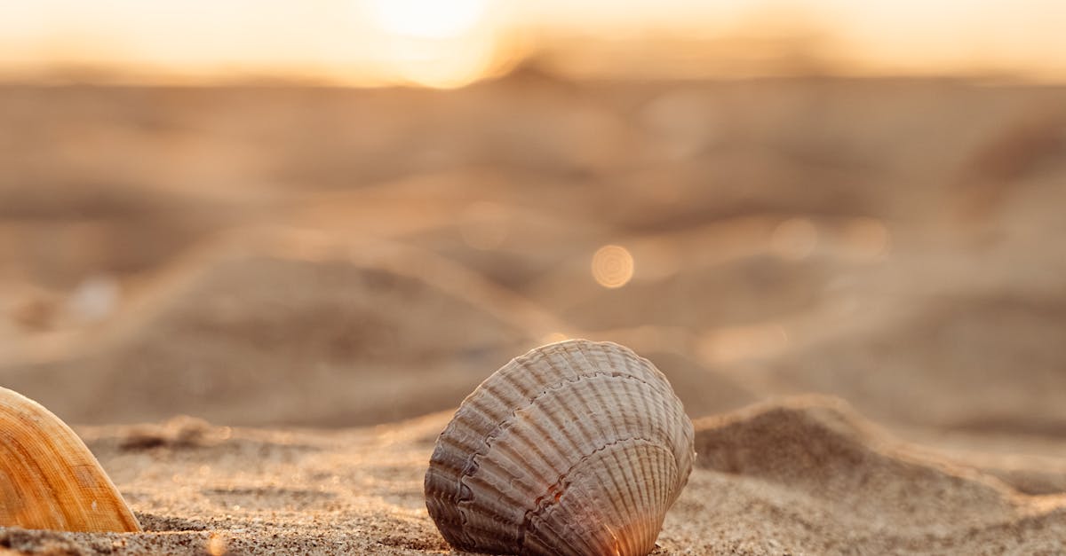 澎湖國際沙灘狂想曲演唱會日期與卡司大公開