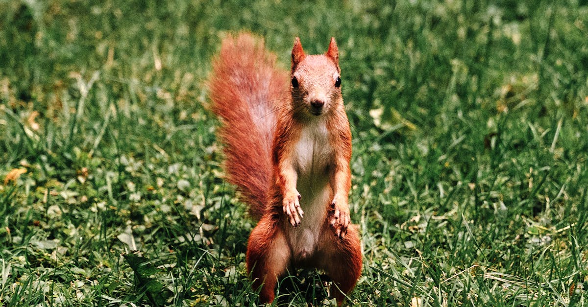土石流紅色警戒全面解除 黃色警戒降為7條