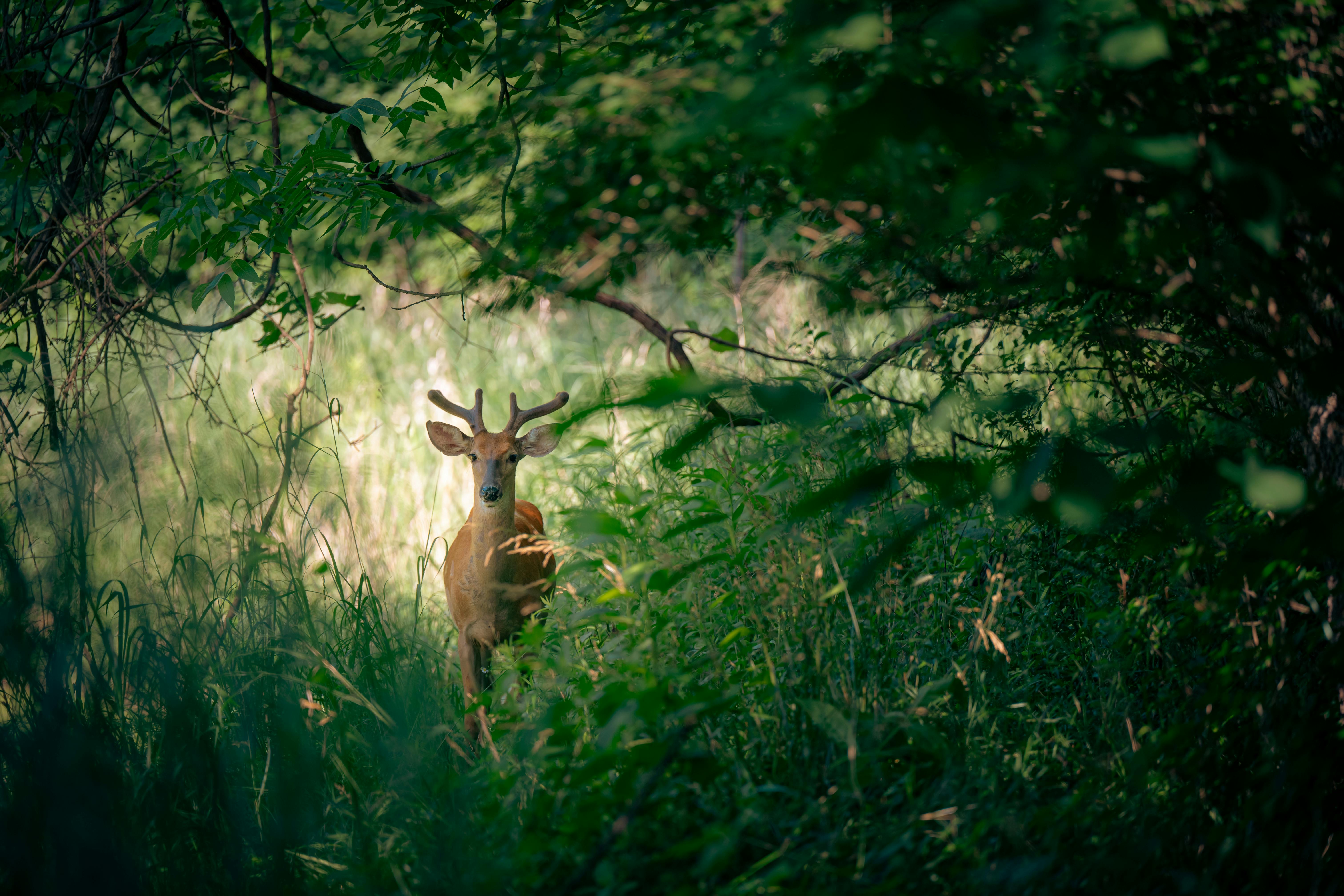 Discover the Unexplored Districts: Hidden Gems Await