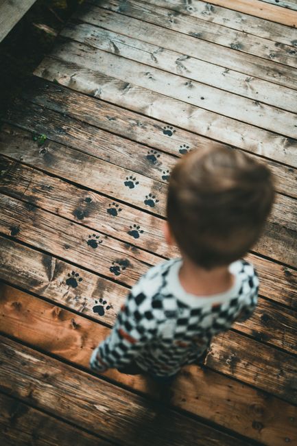 A child walks along a wooden deck noticing animal paw prints.