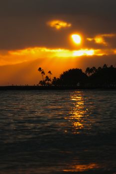 Golden sunset over ocean with palm trees and dramatic sky.