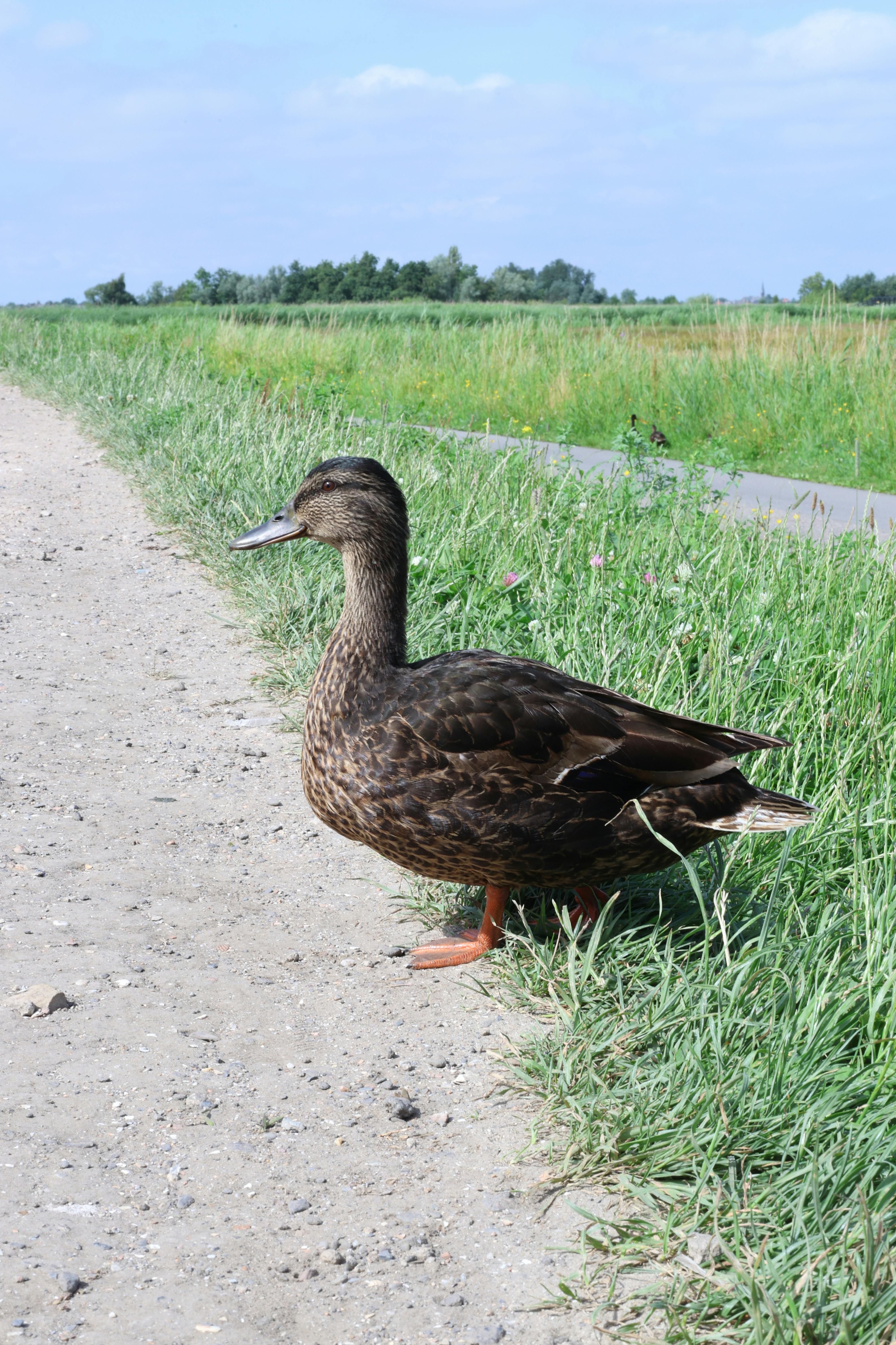 Motorcycle Rides and Risks