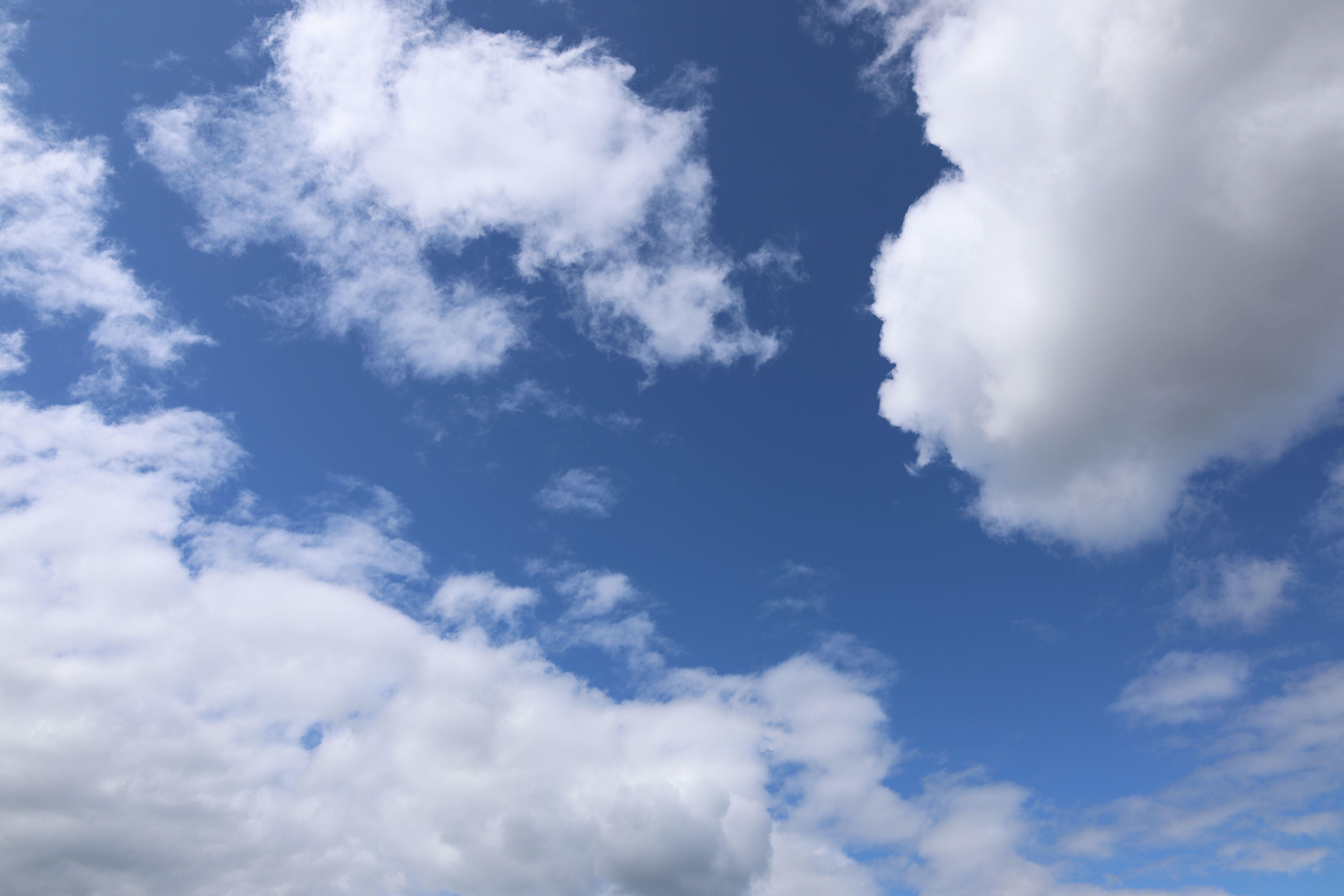 Vibrant Blue Sky with Fluffy White Clouds · Free Stock Photo