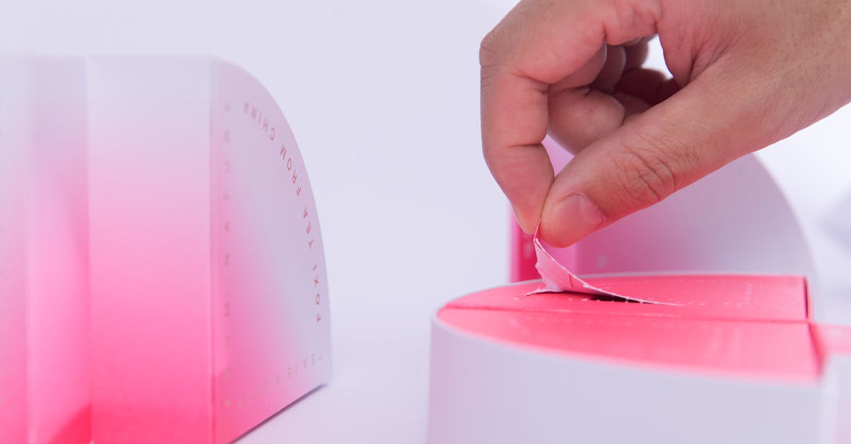 中港河廊光雕展玩轉光影 榮獲兩項國際大獎