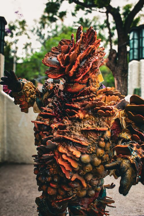 Free A detailed, colorful fantasy cosplay costume outdoors in Mexico City. Stock Photo