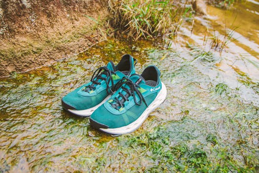 Colorful sneakers resting on a moss-covered creek bed in Đà Lạt, Vietnam.